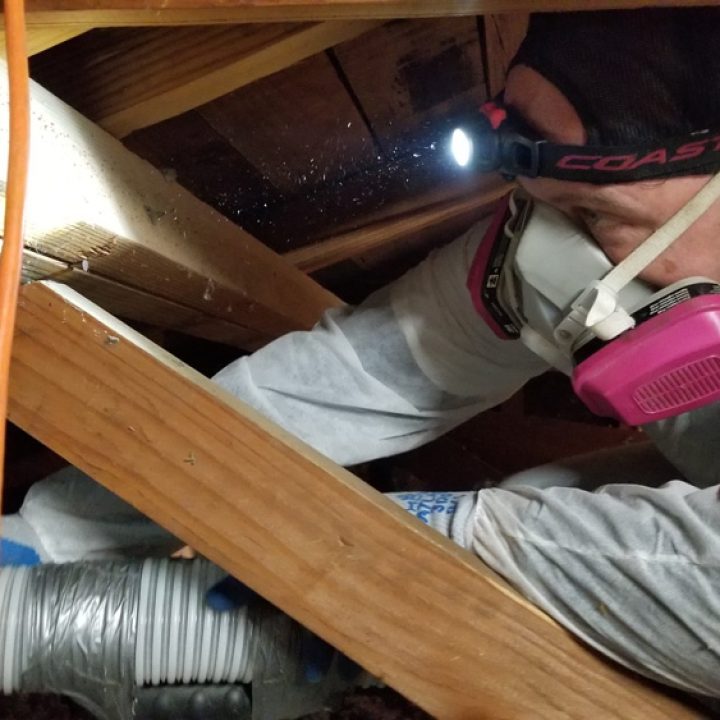 luke-working-in-attic1